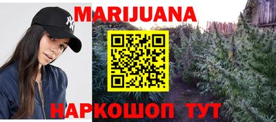 прущие крисы Кингисепп