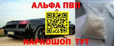 прущие крисы Кингисепп